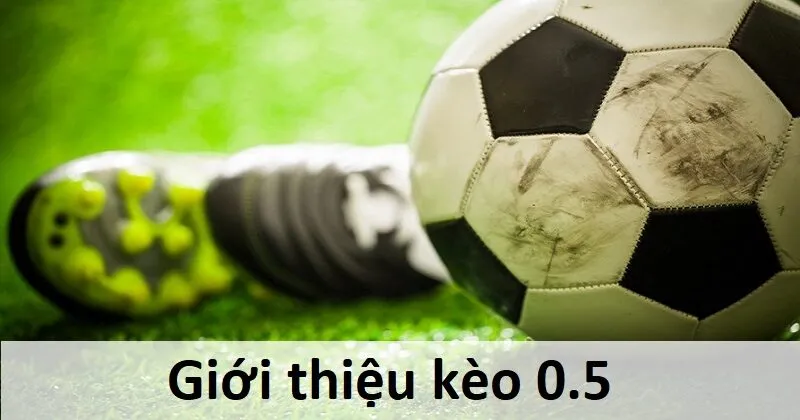 Mô tả sơ lược về kèo 0.5