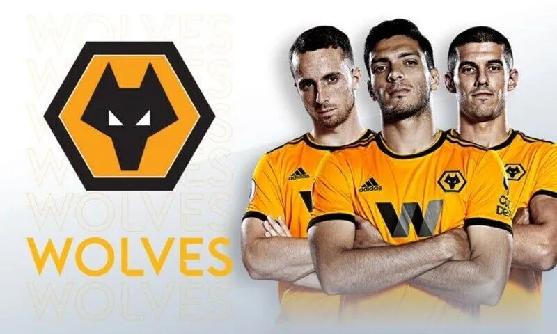 Tổng hợp những khoảnh khắc đáng nhớ của Wolves